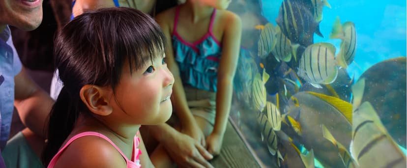 Rainbow Reef image 1